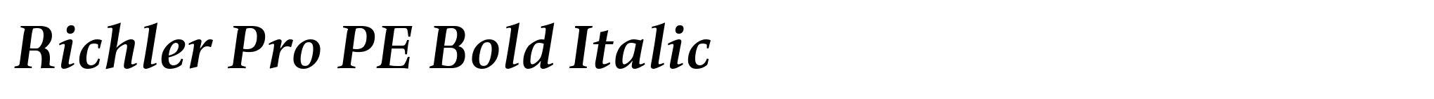 Richler Pro PE Bold Italic image